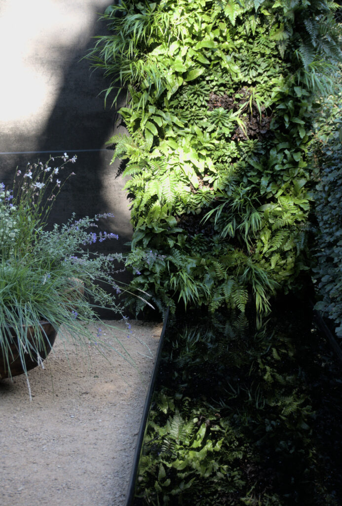 Vertical fern wall reflected in a narrow water feature at the RHS Chelsea Flower Show garden